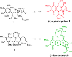 Graphical abstract: Recent progress in the total synthesis of naphthyridinomycin and lemonomycin tetrahydroisoquinoline antitumor antibiotics (TAAs)