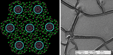 Graphical abstract: Synthesis of mesostructured metal sulfide films using [M(H2O)n](NO3)2:P85 (M = Cd(ii) and Zn(ii)) liquid crystalline mesophases