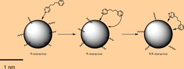 Graphical abstract: A new and specific mode of stabilization of metallic nanoparticles