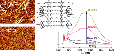 Graphical abstract: Molecular recognition in bisurea thermoplastic elastomers studied with pyrene-based fluorescent probes and atomic force microscopy