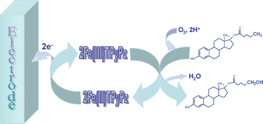 Graphical abstract: Electrochemical sensor highly selective for estradiol valerate determination based on a modified carbon paste with iron tetrapyridinoporphyrazine