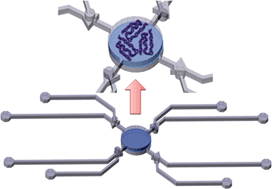 Graphical abstract: Quantitative and qualitative analysis of a microfluidic DNA extraction system using a nanoporous AlOx membrane