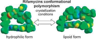 Graphical abstract: Sampling rifamycin conformational variety by cruising through crystal forms: implications for polymorph screening and for biological models