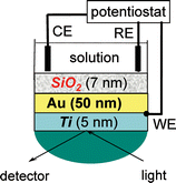 Graphical abstract: Electrochemical impedance spectroscopy and surface plasmon resonance studies of DNA hybridization on gold/SiOx interfaces
