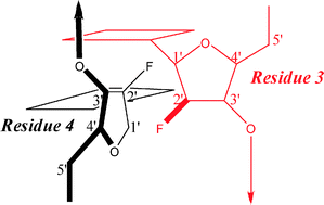 Graphical abstract: The effect of 2′-fluorine substitutions on DNA i-motif conformation and stability