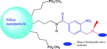 Graphical abstract: Molecule-scale controlled-release system based on light-responsive silica nanoparticles