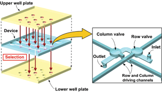 Graphical abstract: Layer-to-layer parallel fluidic transportation system by addressable fluidic gate arrays