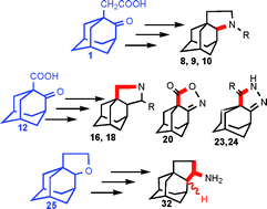 Graphical abstract: Design and synthesis of bioactive 1,2-annulated adamantane derivatives