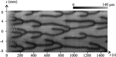 Graphical abstract: Interface dynamics in shear-banding flow of giant micelles