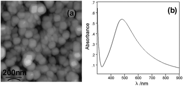 Graphical abstract: The observation of high order overtones and combinations in the SERRS spectra of a perylene dye spin coated onto silver island films