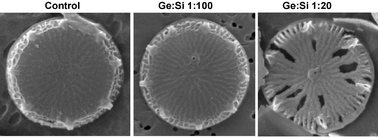 Graphical abstract: A self-propagating system for Ge incorporation into nanostructured silica