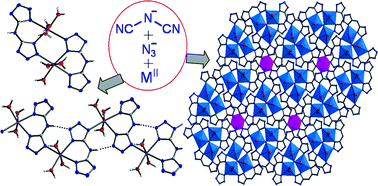 Graphical abstract: Coordination compounds of bis(5-tetrazolyl)amine with manganese(ii), zinc(ii) and cadmium(ii): synthesis, structure and magnetic properties