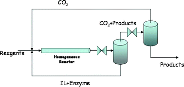 Graphical abstract: Influence of the enzyme concentration on the phase behaviour for developing a homogeneous enzymatic reaction in ionic liquid–CO2 media
