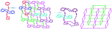 Graphical abstract: An unusual metal–organic framework showing both rotaxane- and cantenane-like motifs