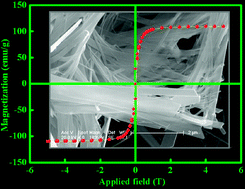 Graphical abstract: Synthesis and characterization of 1D Co/CoFe2O4 composites with tunable morphologies