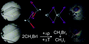 Graphical abstract: Isostructural relations in dihalomethanes and disproportionation of bromoiodomethane
