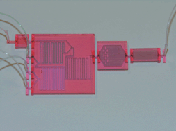 Graphical abstract: SmartBuild–A truly plug-n-play modular microfluidic system