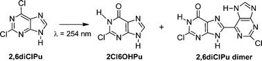 Graphical abstract: UVC induced oxidation of chloropurines: excited singlet and triplet pathways for the photoreaction