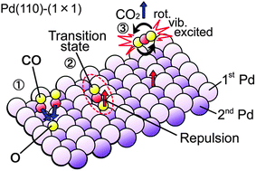 Graphical abstract: Angular dependence of rotational and vibrational energies of product CO2 in CO oxidation on Pd(110)