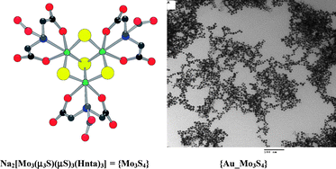 Graphical abstract: One-step synthesis and stabilization of gold nanoparticles in water with the simple oxothiometalate Na2[Mo3(μ3-S)(μ-S)3(Hnta)3]