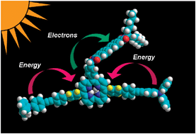 Graphical abstract: Photoactive corrole-based arrays