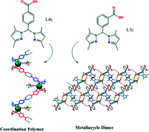Graphical abstract: Nickel(ii), copper(ii), and cobalt(ii) solid-state structures formed through hydrogen bonding with ditopic heteroscorpionate ligands