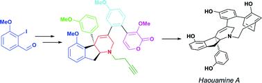 Graphical abstract: Formal total synthesis of (−)-haouamine A