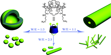 Graphical abstract: Self-assembly of amphiphilic calix[6]crowns: from vesicles to nanotubes