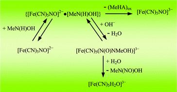 Graphical abstract: Nitrosation of N-methylhydroxylamine by nitroprusside. A kinetic and mechanistic study