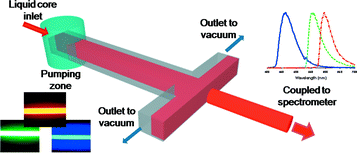 Graphical abstract: Fluorescent liquid-core/air-cladding waveguides towards integrated optofluidic light sources