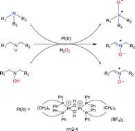 Graphical abstract: Mild catalytic oxidation of secondary and tertiary amines to nitrones and N-oxides with H2O2 mediated by Pt(ii) catalysts