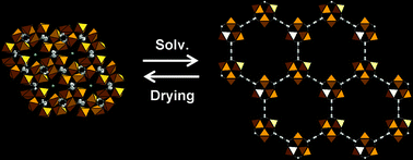 Graphical abstract: Evidence of flexibility in the nanoporous iron(iii) carboxylate MIL-89