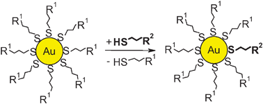 Graphical abstract: Mechanistic aspects of ligand exchange in Au nanoparticles