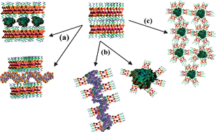 Graphical abstract: Self-assembly of bio–inorganic nanohybrids using organoclay building blocks