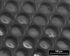 Graphical abstract: Nanostructured thin solid oxide fuel cells with high power density