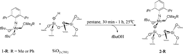 Graphical abstract: Dramatic enhancement of the alkene metathesis activity of Mo imido alkylidene complexes upon replacement of one tBuO by a surface siloxy ligand