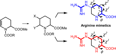 Graphical abstract: Diastereoselective functionalizations of enecarbamates derived from pipecolic acid towards 5-guanidinopipecolates as arginine mimetics