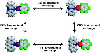 Graphical abstract: A cocrystallisation-based strategy to construct isostructural solids