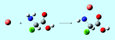 Graphical abstract: A comparison of the binding affinity of the common amino acids with different metal cations