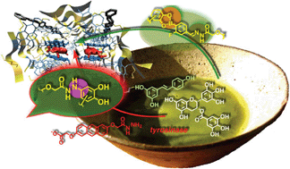 Graphical abstract: Signal amplification by conjugate addition for differential sensing with synthetic pores