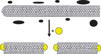 Graphical abstract: Controlled purification, solubilisation and cutting of carbon nanotubes using phosphomolybdic acid