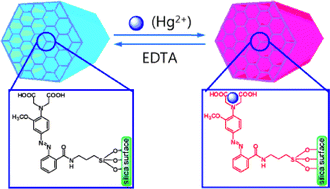 Graphical abstract: Reversible solid optical sensor based on acyclic-type receptor immobilized SBA-15 for the highly selective detection and separation of Hg(ii) ion in aqueous media