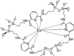 Graphical abstract: Luminescent Eu(iii) hybrid materials for sensor applications