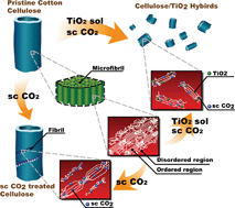Graphical abstract: Synthesis of cellulose/titanium dioxide hybrids in supercritical carbon dioxide