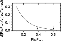 Graphical abstract: On phytochrome absorption and the phytochrome photoequilibrium in a green leaf: environmental sensitivity and photoequilibrium time