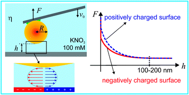 Graphical abstract: Influence of wettability and surface charge on the interaction between an aqueous electrolyte solution and a solid surface