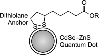 Graphical abstract: Dithiolane ligands for semiconductor quantum dots