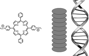 Graphical abstract: Fluorescence properties of the dicationic porphyrin 5,15-DiMPyP orderly aggregated along DNA surface