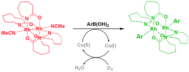 Graphical abstract: Synthesis of bis(σ-aryl)dirhodium(iii) caprolactamates by oxidative arylation with arylboronic acids