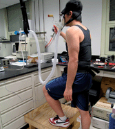 Graphical abstract: Exposure assessment by physiologic sampling pump—prediction of minute ventilation using a portable respiratory inductive plethysmograph system